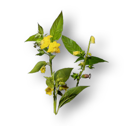 File:ACV Nightshade render.png