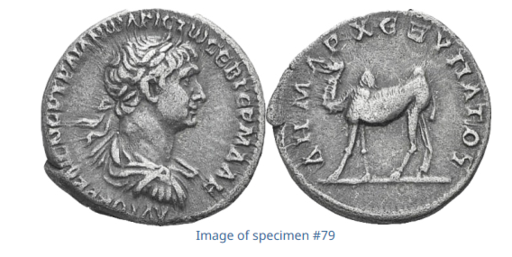 File:DTA The Romans in AlUla 1.png