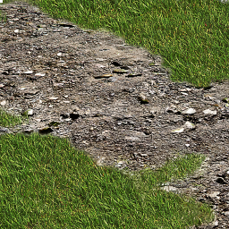 File:ACSH Hideout Forest Gravel.png