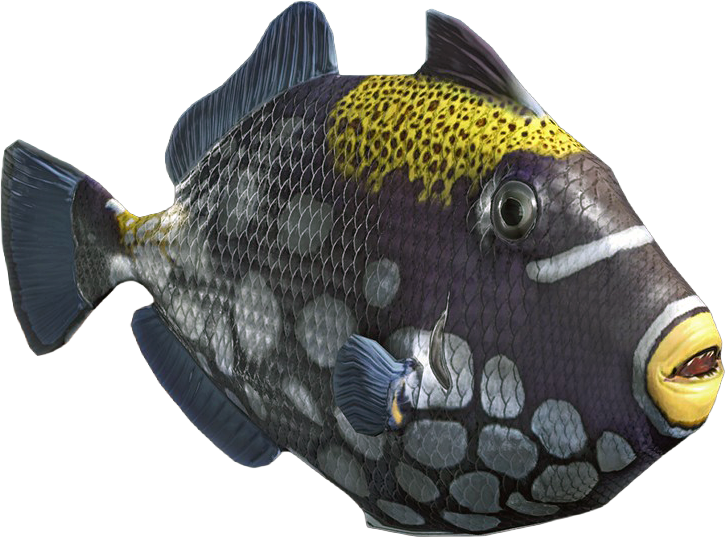 File:ACBFR DB Clown Triggerfish.png