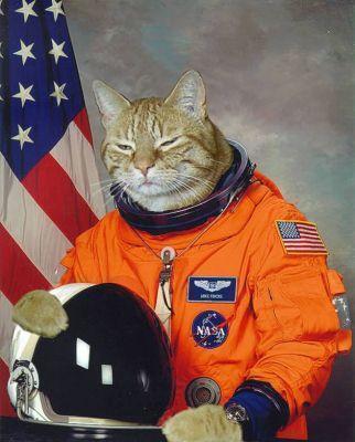 File:Real Space Kat.jpg