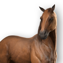 File:ACSH Mount Maple.png