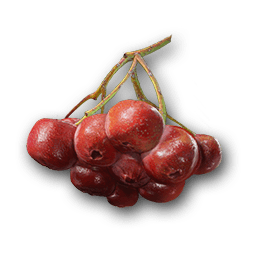 File:ACJ Food Hawthorn.png