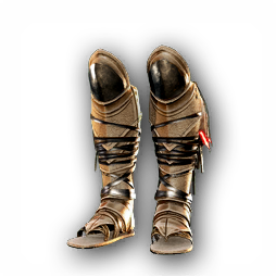 ACOD Eagle Wrappings.png