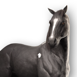 File:ACSH Mount Tar.png