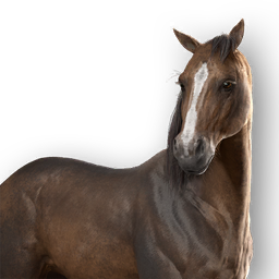 File:ACSH Mount Tamari.png