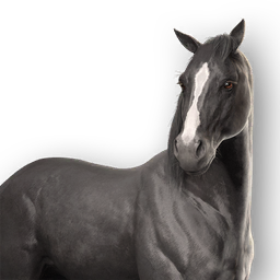 File:ACSH Mount Yozora.png