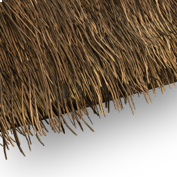 File:ACSH Study Rustic Roof.png
