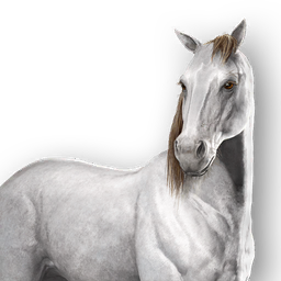 File:ACSH Mount Kinu.png