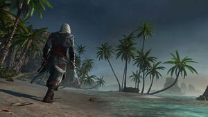 AC4 - Beach.jpg