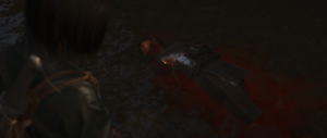 ACSH Shinobi Warfare 36.png