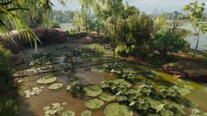 ACO Chata Pond.jpg
