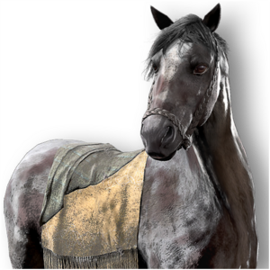 ACV Horse Pomers.png