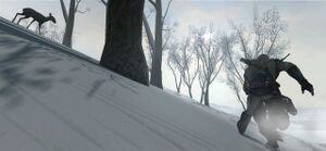Connor-stalking-deer-2.jpg