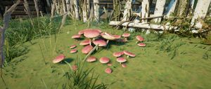 ACV Blackish Purple Russula.jpg