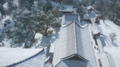 Thumbnail for version as of 00:10, 23 January 2026