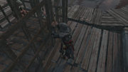 Ezio freeing the prisoner