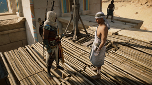 ACO Feeding Faiyum 2.png