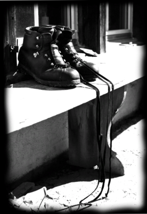 ACR Desmond Journey M02 Training.png