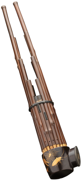 File:ACSH DB Sho.png