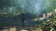 Naoe entering the forest