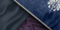 Thumbnail for version as of 00:05, 23 January 2026