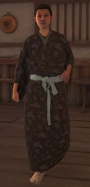 File:ACSH Wakasa 1.jpg