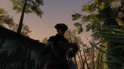 Aveline reading the letter