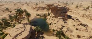 ACMir Oasis.jpg
