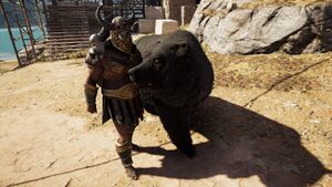ACOd-Exekiasbear.jpg