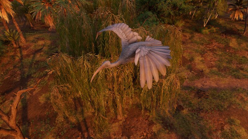 File:Ibis-origins.jpg