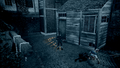 Thumbnail for version as of 00:13, 23 January 2026