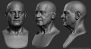 Head sculpts of an old de la Serre
