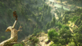 Thumbnail for version as of 00:07, 23 January 2026