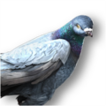 Thumbnail for version as of 16:26, 17 October 2026