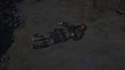 Yoshihiro's body after his death