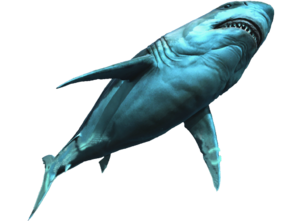 AC4DB - Great White Shark.png