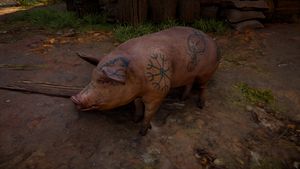 ACV Tattooed Pig.png