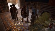 Kassandra returning