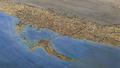 Thumbnail for version as of 00:28, 23 January 2026