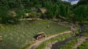 ACSH Tomiko's Homestead.jpg