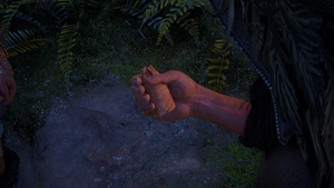 ACV Clues and Riddles 16.png