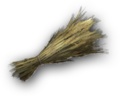 Thumbnail for version as of 00:30, 23 January 2026