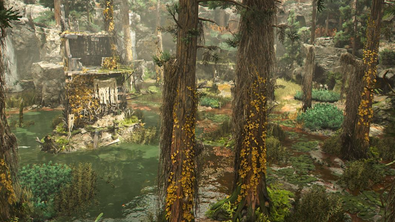 File:ACSH CoA Hidden Swamp 1.png