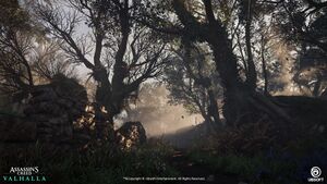 ACV Wishtman Wood 1.jpg