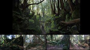 DTVA - Mysterious Forests.jpg