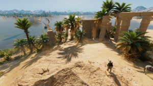 ACO Feeding Faiyum 5.png