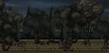 Thumbnail for version as of 00:22, 23 January 2026