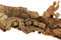 Thumbnail for version as of 18:22, 19 September 2026
