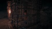 Amara imprisoned